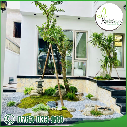 CÔNG TY TNHH TM DV NGUYỄN GARDEN